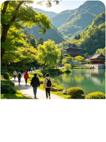 景区